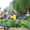 City Moves To Take Over Community Garden Threatened By Developers